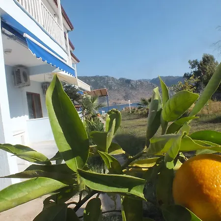 Dantel Sahil Селемие