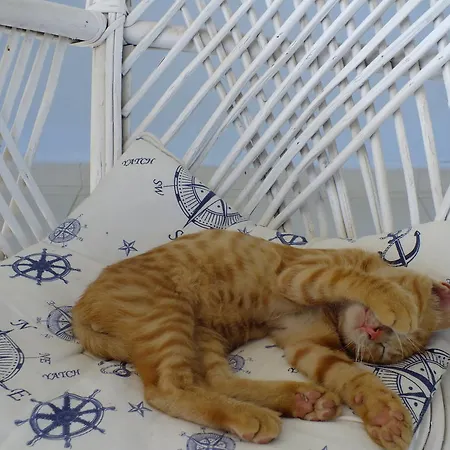 Dantel Sahil Selimiye (Aegean)