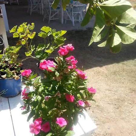 Apart Otel Dantel Sahil *