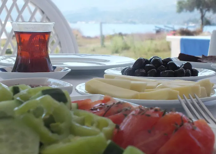 Apartahotel Dantel Sahil *