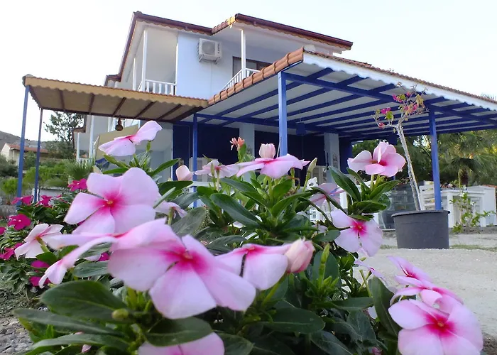 Apartahotel Dantel Sahil