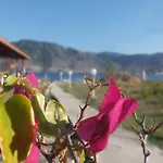 Dantel Sahil Selimiye (Aegean)