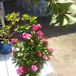 Hotel apartamentowy Dantel Sahil *