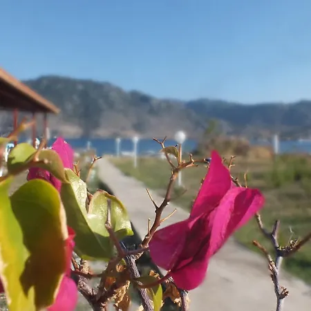 Dantel Sahil 塞利米耶