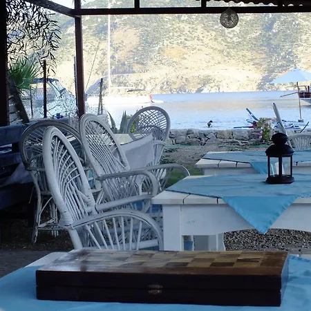 公寓式酒店 Dantel Sahil *